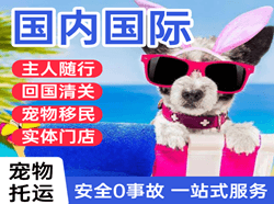 朝阳川机场托运国际宠物托运 【国
